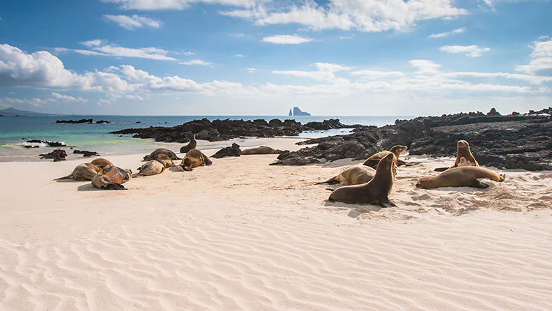 Cruceros Galápagos 2023