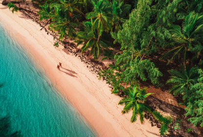 Playas con palmeras idílicas